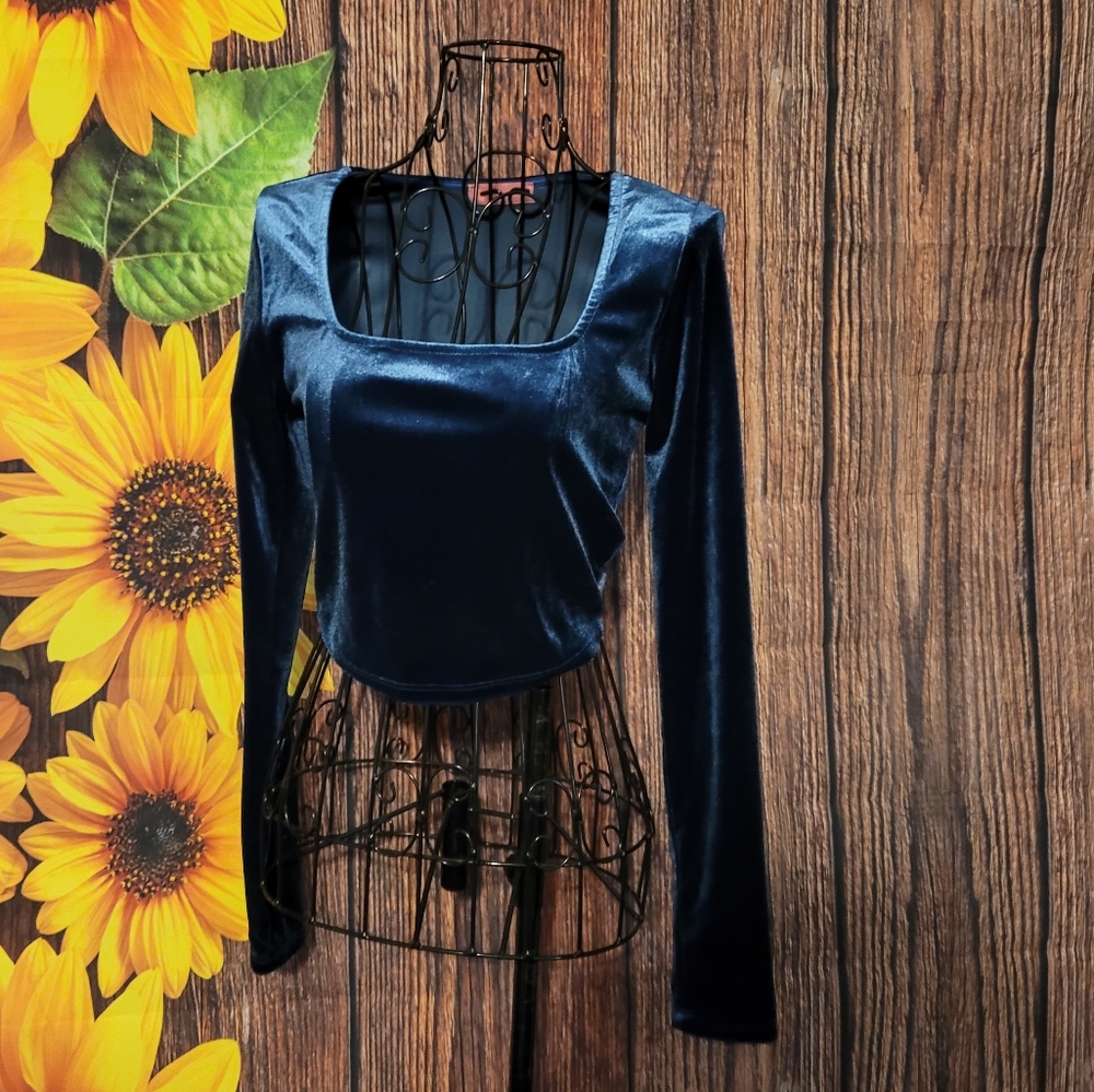 Misty Rose Faux Velour Crop Top